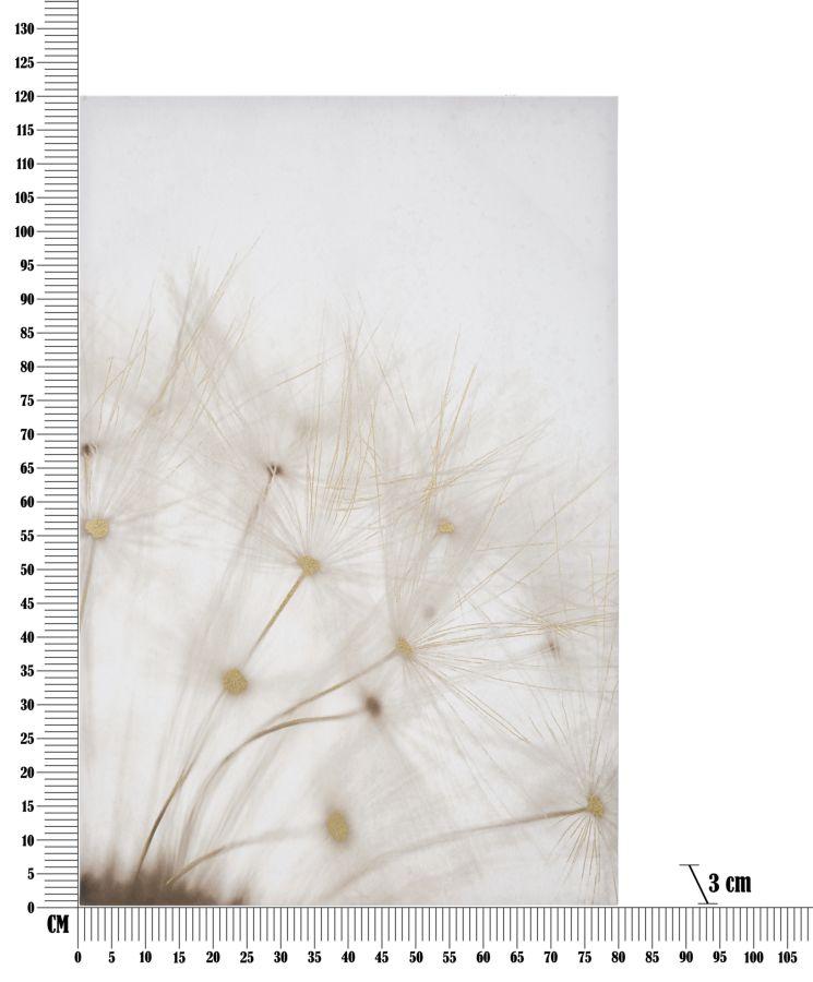 Printing With Paint Tin Cm 80X3X120