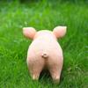 Resin Pig Statue Cute Animal Sculpture for Garden Yard Patio Outdoor Decoration Lawn Ornament Animal Statue Figurine