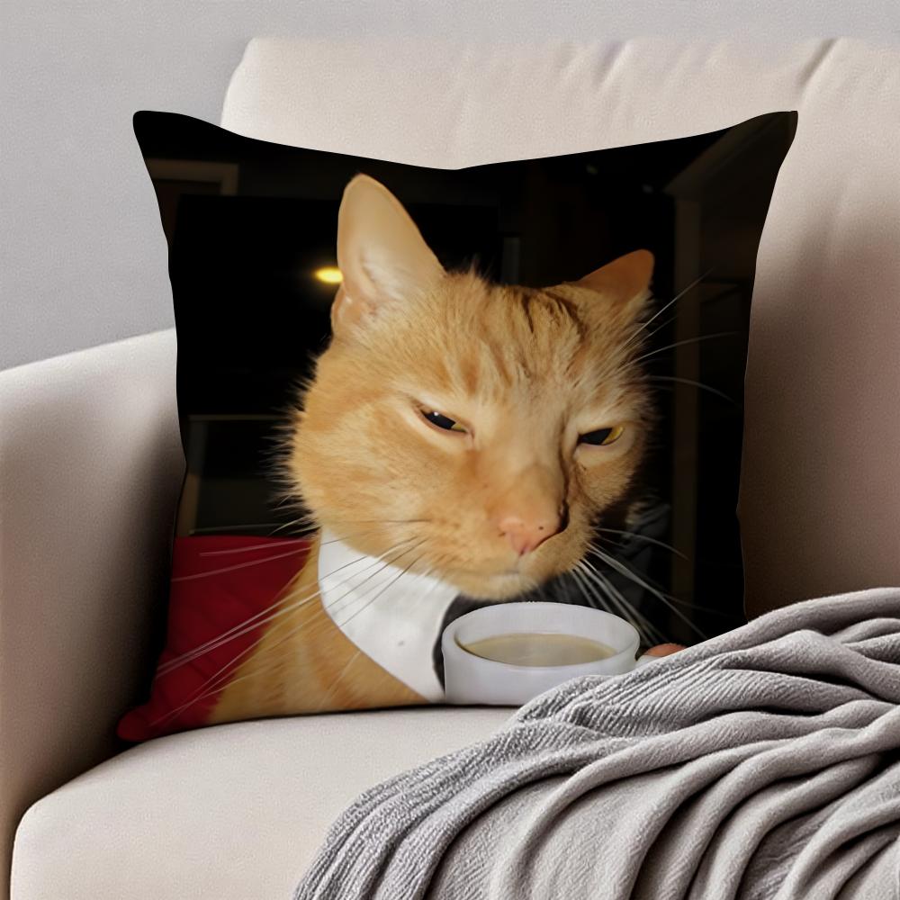 Meme Funny Pet Cat Funny Memes Cushion Cover Pillowcase Antidustmite Invisible Zipper Short Plush Sofa Cushion