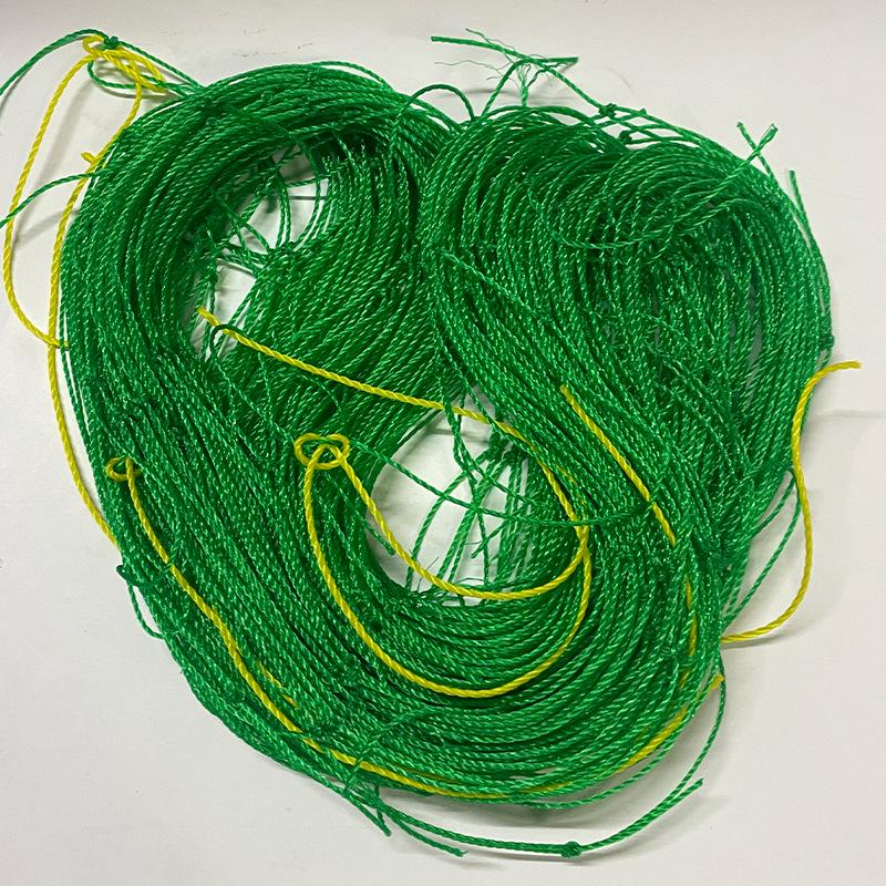 Green Plant Climbing Net: Reinforced Edge Nylon Vine Support for Melons, Grapes, Morning Glory, and Beans