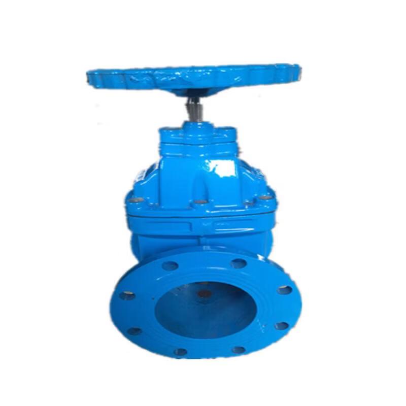 Jundingying DN65 Ductile Iron Resilient Seated Gate Valve