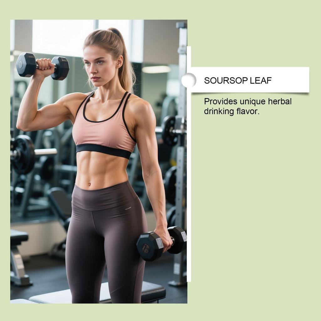 Premium Soursop Leaf Tea Bags, Individually Packaged, Natural Daily Body Support & Care