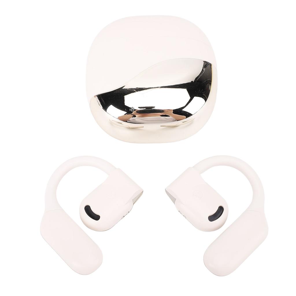 Translation Earbuds Earhook Active Noise Reduction Wireless   AI Language Translator Earbuds