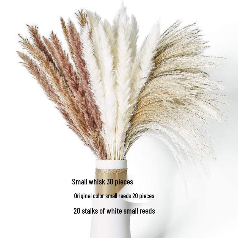 Nordic Style Dried Flower Bouquet: Mixed Arrangement with Small Reeds, Bunny Tail Grass, and Duster for Home Decoration.