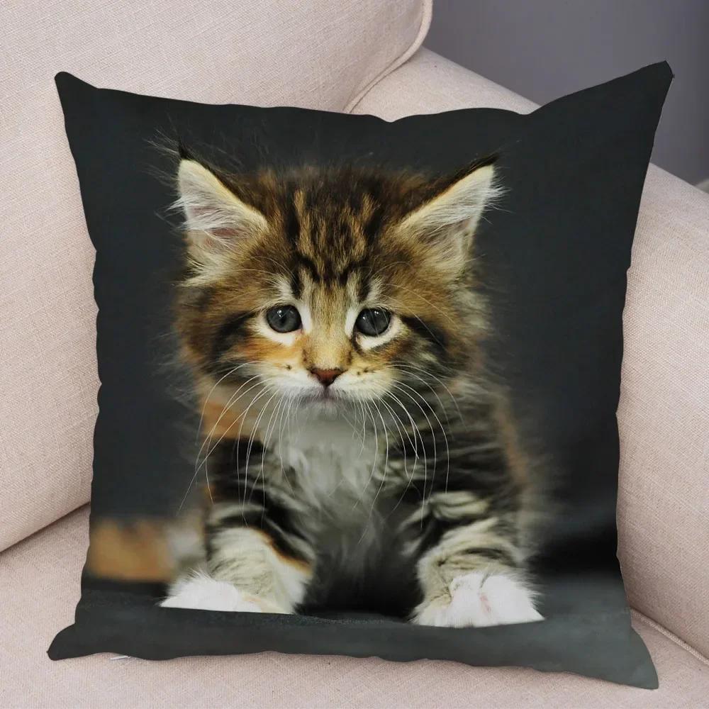 

Смешная милая наволочка с кошкой Декор Прекрасный принт с домашним животным Наволочка Супермягкая плюшевая наволочка для подушки для автомобиля Дивана Дома 45x45см 50x50cm