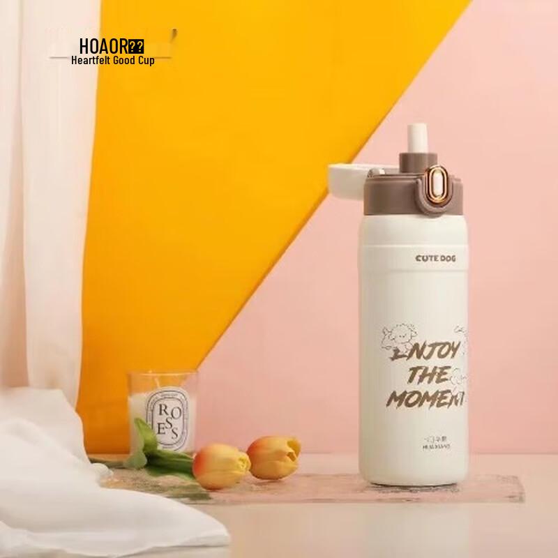 HOAOR Stainless Steel Vacuum Insulated Portable Straw Cup