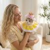 Scarf, Dog Bib, Crown, Cute Holiday Party Decoration, Pet Supplies