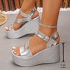 Silver Chunky Platform Sandals Women Summer 2025 Fashion Buckle Strap Wedge Sandals Woman Plus Size 43 Thick Bottom Beach Shoes