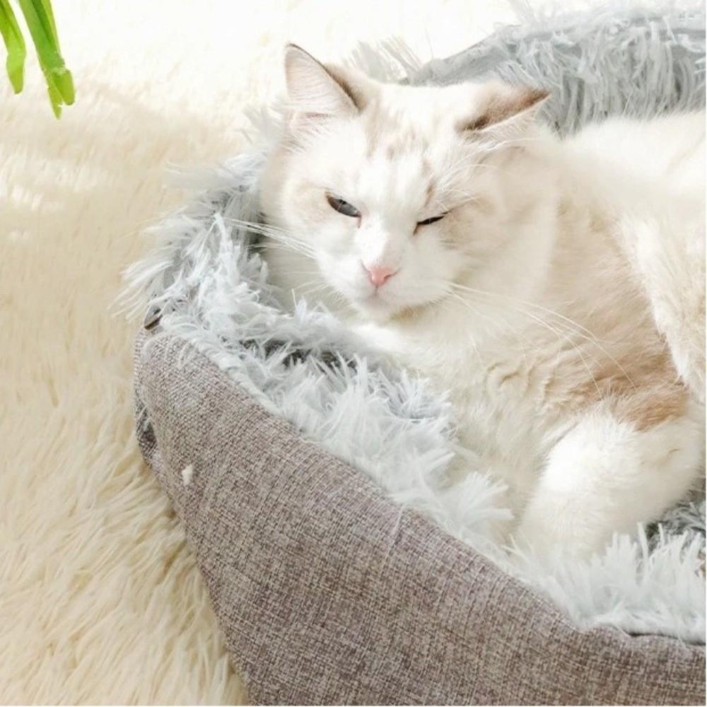 Warm Plush Cat Bed Dual-use Cat Mat Soft Pet Mat  Cat