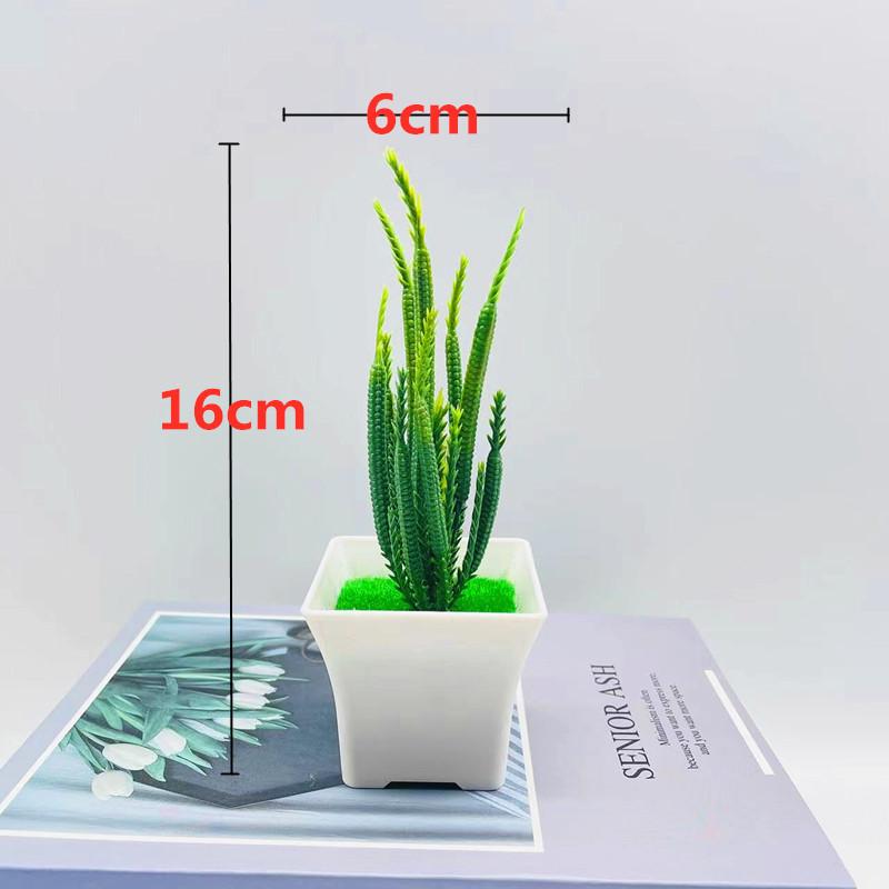Simulation Crassula Muscosa Echeveria Laui Succulent Plant Bonsai Artificial