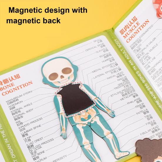 Magnetic Body Structure Puzzle Book Wooden Preschool Body Parts Learning Puzzle Book Parent-child Interactive Educational Human Anatomy Book