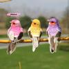 M-1 piece of realistic feathered bird, colorful foam bird, for garden and landscape decoration, craftwork.