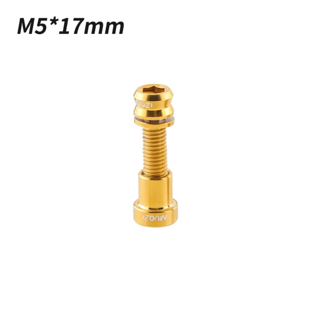 Titanium Bolt M5x17mm M5x19mm Bicycle Nut Titanium Alloy Stem Bolts MTB Road BMX Folding Bike Screw Accessories