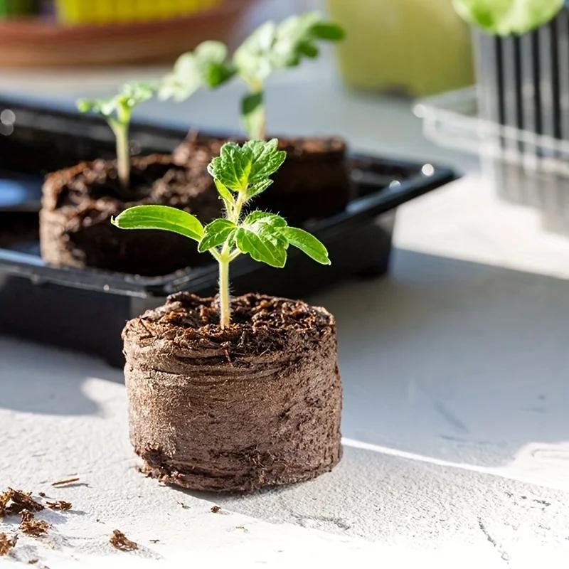 300-20 Stück Anzuchtblöcke Kokosfaser Anzuchtschale Komprimierte Erde für Pflanzenstecklinge Gemüse Blume Kräuterzucht