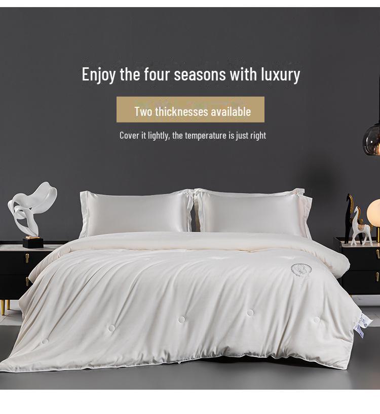 Duo Xi Ai Pure Silk Quilt: Winter Warmth & Spring Comfort, Double Size