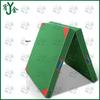 Youjin Foldable Gymnastics & Exercise Mat