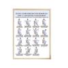2Pcs Chair Exercise for Seniors 30-Day Plan Poster Seated Tai Chi Workout Chart for Elderly Low Impact Mobility Fitness