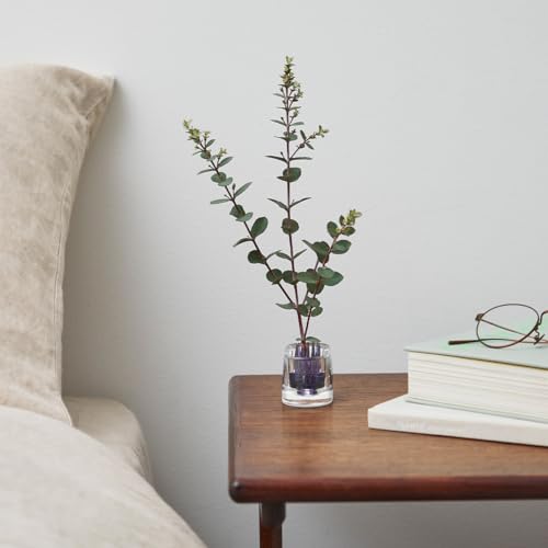 Ash Concept (h concept) +d MICHI-KUSA Oval Crystal D-372-CL Flower Vase, Compact, for Fresh Flowers, Kenzan (flower frog)