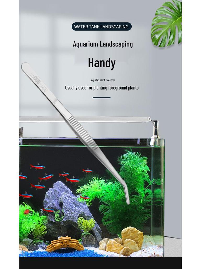 Curved Round Head Anti-Slip Stainless Steel Tweezers for Aquatic Plants and Succulents
