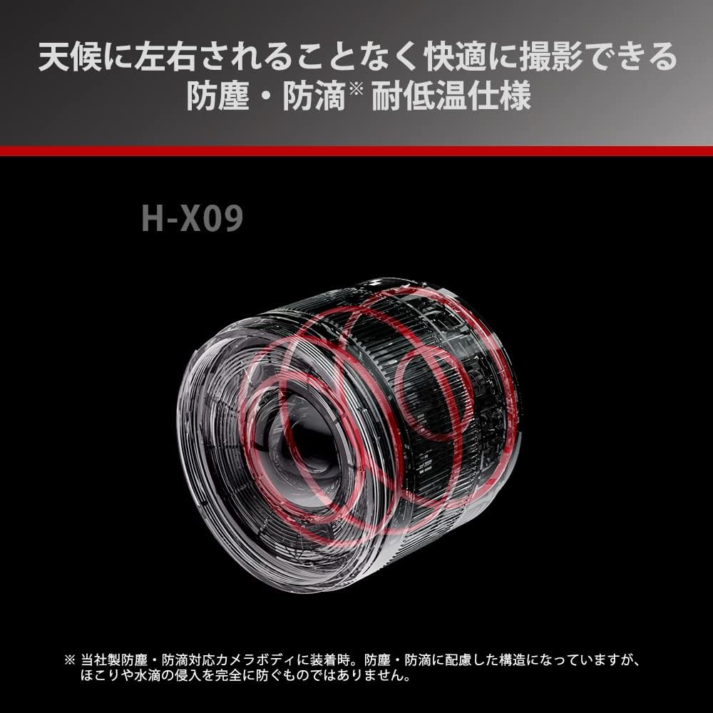 Panasonic H-X09 Wide-Angle Fixed Focal Length Camera Lens for LUMIX Digital SLR Cameras (Interchangeable Lens)