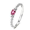 Twelve Zodiac S925 Sterling Silver Adjustable Ring with Colorful Gemstones for Women