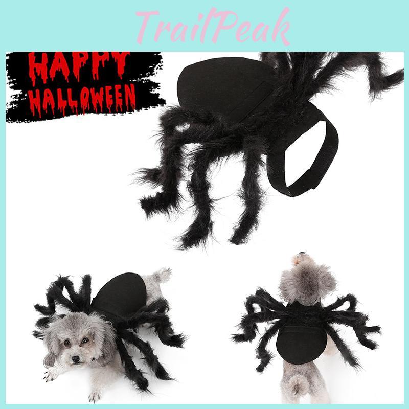 Pet Dog And Cat Halloween Costume Simulation Black Spider Dress Up