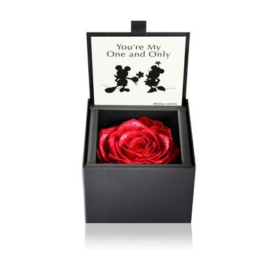 AMOROSA Preserved Flower Diamond Rose Box 85 Disney My One and Only Bright Red Gift Flower Birthday Anniversary Proposal DS85ONE You're
