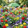 24 Inch Plant Umbrella Garden Plant Sunshade Adjustable Parasol Protects Plants from Harsh Sunlight for Outdoor Plants Potted Flowers Garden Beds
