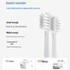 LAIFEN SE Sonic Electric Toothbrush CN plug (adapter included)