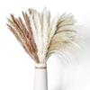 Combination Dried Bouquet, Small Reed Hare Tail Grass Whisk Dust Nordic Style Home Decoration Flower Arrangement Mix And Match Dried Flowers