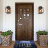 Van Gogh Starry Night Doormat Anti-Slip Entrance Bathroom Kitchen Door Floor Mat Over The Rhone Garage Carpet Rug