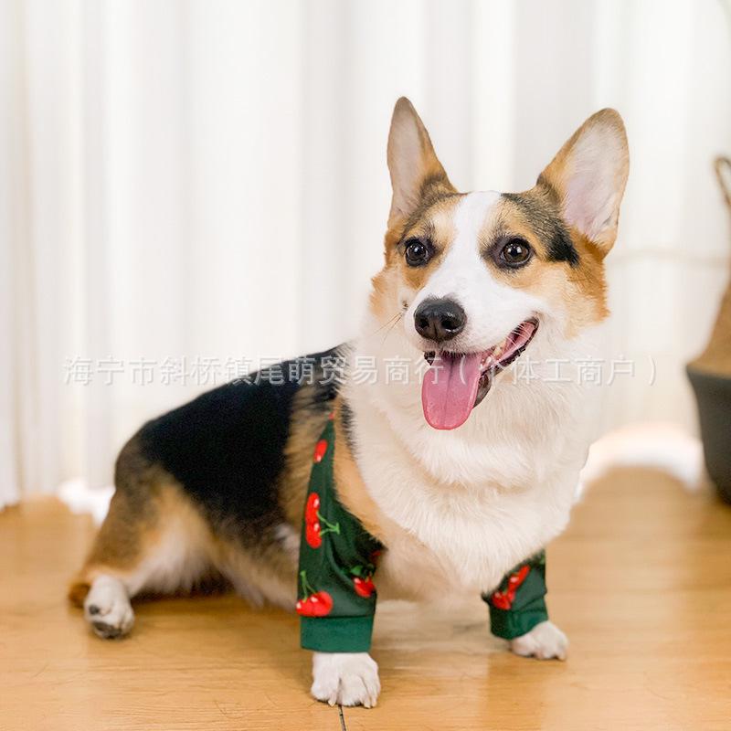 Dirt-Proof Elbow Guard for French Bulldogs and Corgis - Joint Protector & Pet Knee Pad