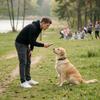 Remote Control Dog Training Shocks Collar Dog Trainer Bark Stopper