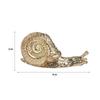 Luxury Cabinet Door Knobs Retro Wardrobe Drawer Pulls Trendy Snail Brass Handle  Dresser