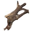 Buddha Driftwood 31-40 Cm