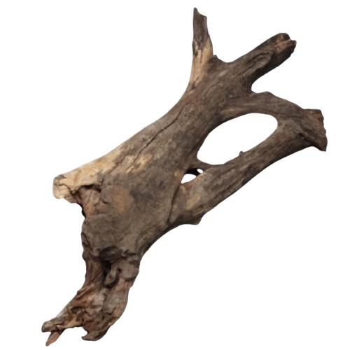 Buddha Driftwood 31-40 Cm