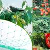 Grünes Vogelnetz – Strapazierfähiges Gartennnetz zum Schutz von Pflanzen & Obstbäumen – UV- & Frostschutz, Wiederverwendbar – Verschiedene Größen erhältlich