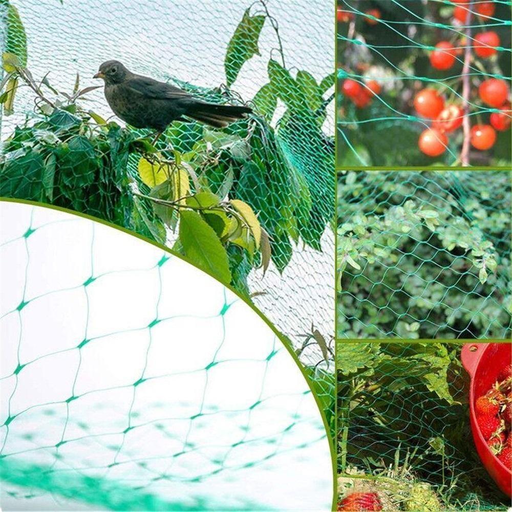 Grünes Vogelnetz – Strapazierfähiges Gartennnetz zum Schutz von Pflanzen & Obstbäumen – UV- & Frostschutz, Wiederverwendbar – Verschiedene Größen erhältlich