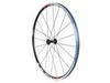 SHIMANO Priekinis plento ratas stipinas 700C juodas lipdukas EWHR501AFCBMYL WH-R501A-F (Aero Specifikacija) (Monotoninė specifikacija)