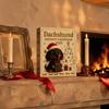 Christmas Gifts for Relatives 2026 Dachshund Advent Calendar, 24 Days 3D Collectible Dog Figures, Home Holiday Atmosphere Decor Puppy Ornaments