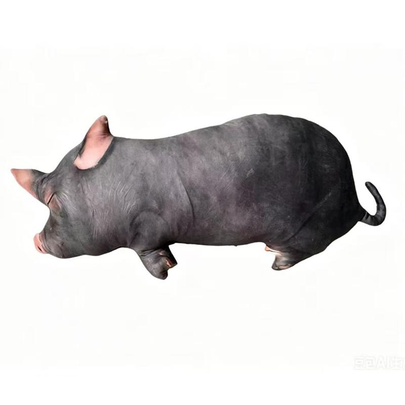 25/80cm Schwarzes Schwein Plüschkissen Gefüllt Bauernhoftier Simulation Kissen Schlafen Langer Begleiter Stützkissen Geschenk 25cm