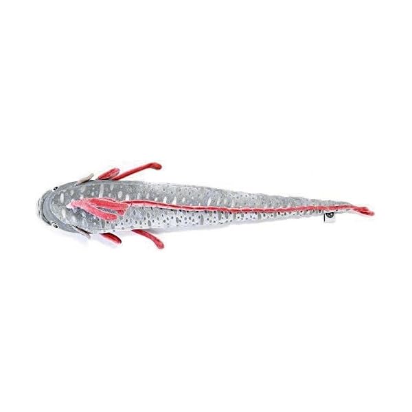 Calorata Oarfish Plush Toy (61 x 10 x 21 cm), Soft to the Touch, Realistic (Fish Plush Toy), Doll, MascotBirthday Gift (Twice Measured), Deep-Sea