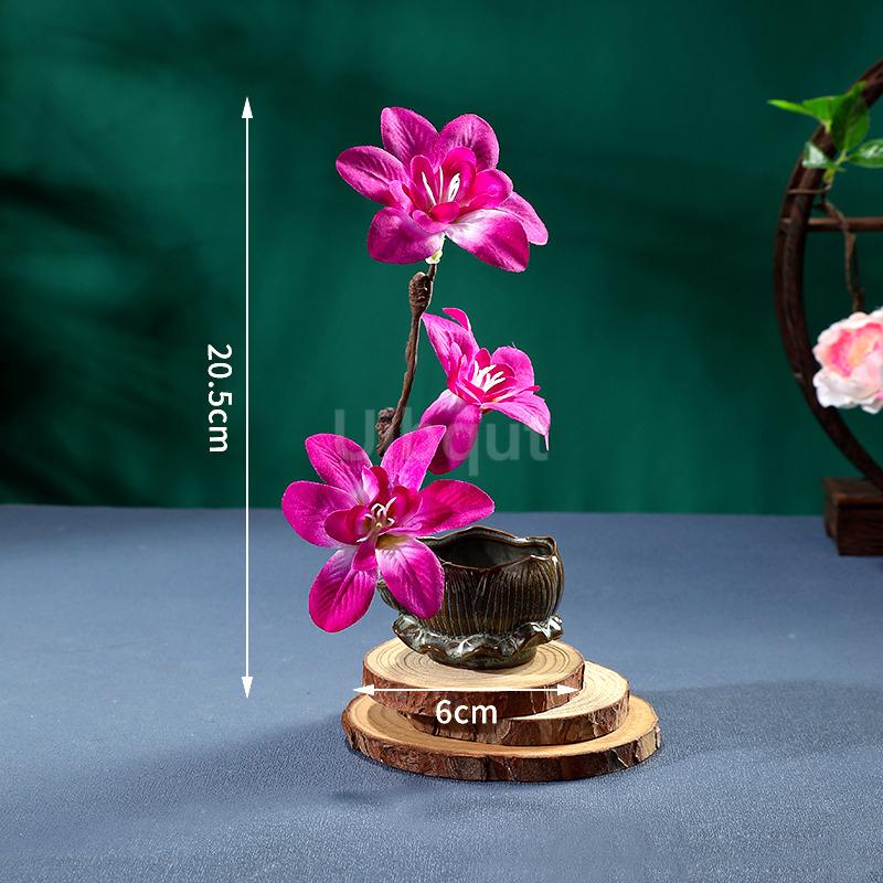 Artistic conception embellishment Creative flowers and plants Dry ice sushi decorative Decorative flowers Cold dish decoration