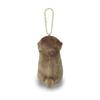 Otter Lies LMC Kogechan:703877