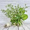 L Gypsophila Paniculata Faux Plastic Flowers For Wedding Arch And Home Decor