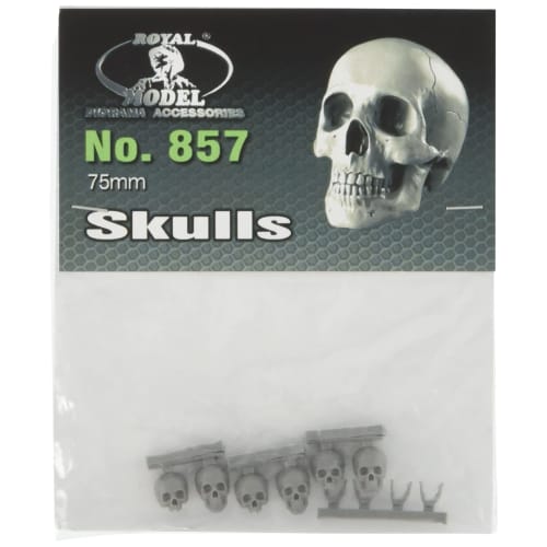 

Royal Model 1/24 Череп (75мм) Набор из 6 смоляных деталей RM857