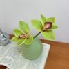 Phalaenopsis Fake Flower Photo Frame: Wind Simulation Floral Arrangement for Living Room or Entrance Decor.