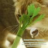 Kedi – Kedi Oyuncakları
