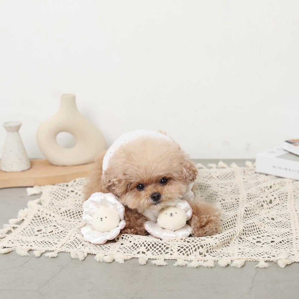 Nasenarbeitshunde Kleine Hunde Mittelgroße Hunde Niedlich Stilvoll Beliebte Marke Toypudel Chihuahua monchéri [Muschel Spielzeug] (KOSTENLOS/Rosa)