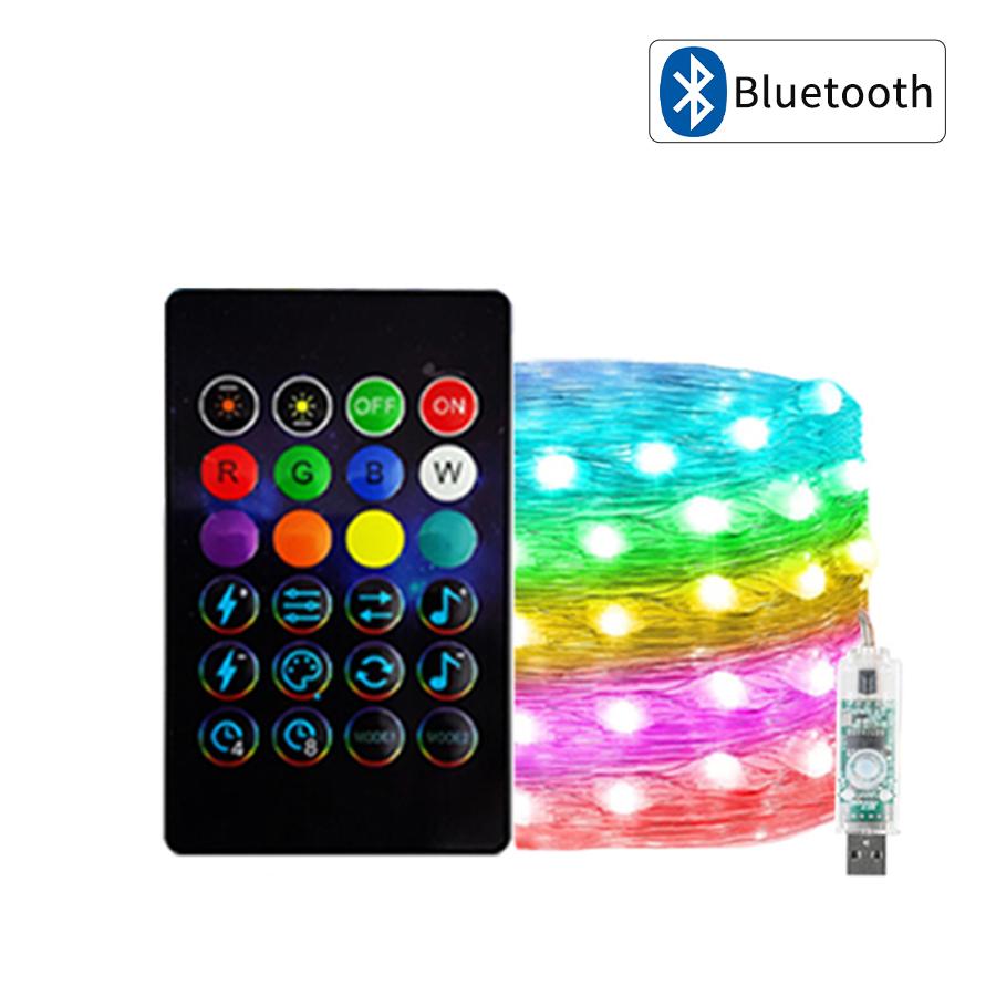 WS2812B RGBIC LED String Lights Garland Bluetooth 5V USB Music Dream Color Fairy Lights Christmas Birthday Wedding Party Decor